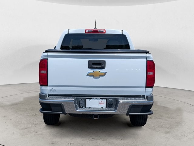 2019 Chevrolet Colorado 2WD Work Truck