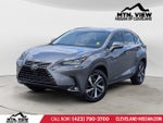 2019 Lexus NX NX 300
