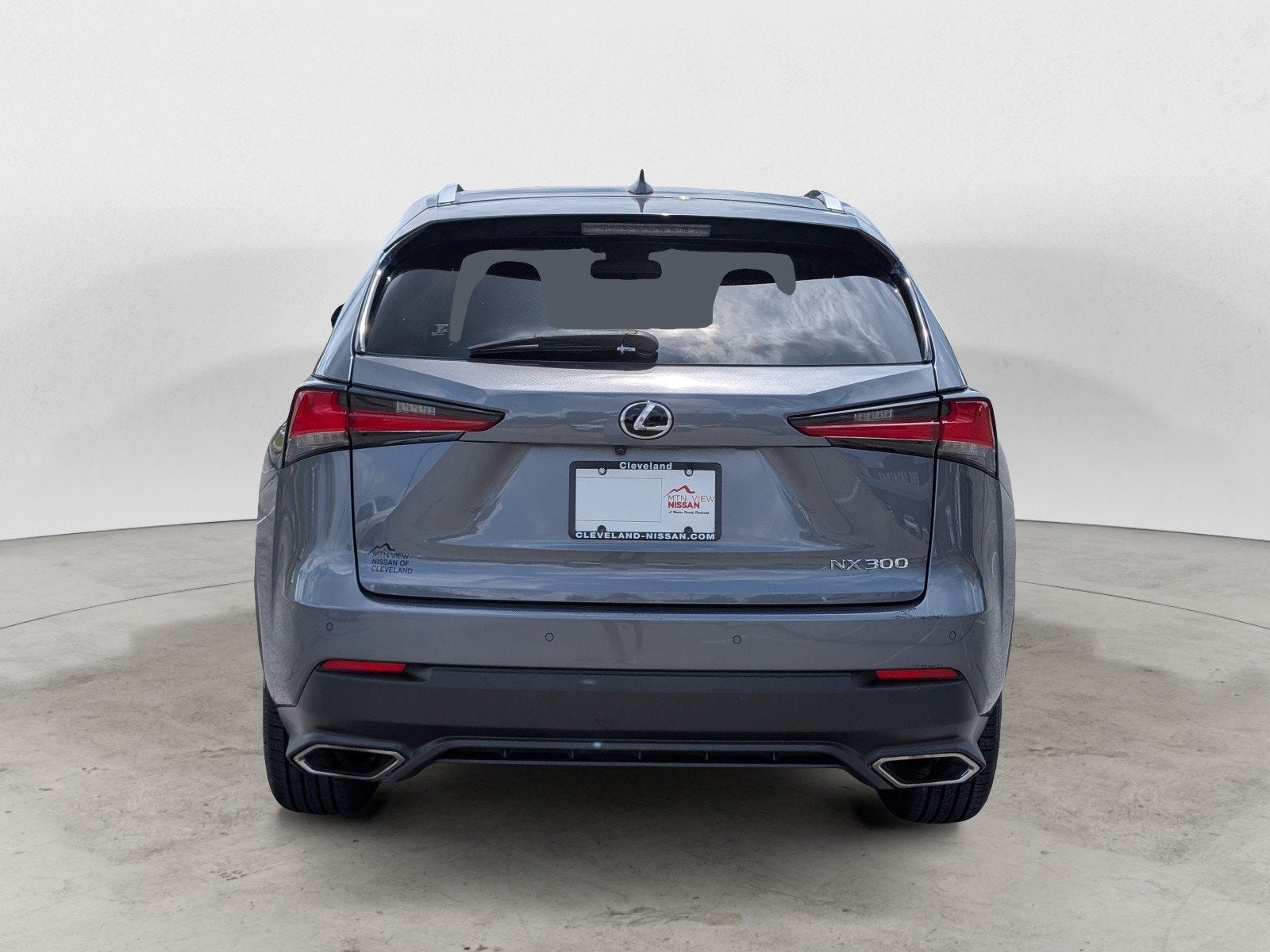 2019 Lexus NX NX 300